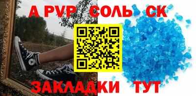 СК Бийск