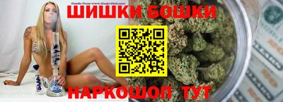 СК Бийск