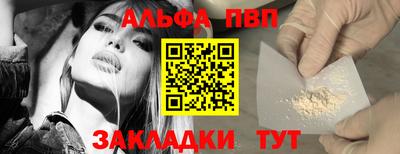 СК Бийск