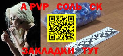 СК Бийск
