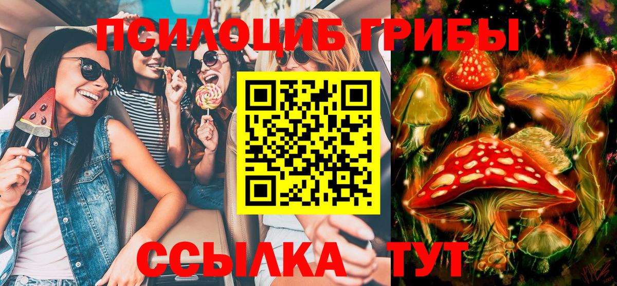 Псилоцибиновые грибы Cubensis  Вход с VPN  Жуковский 