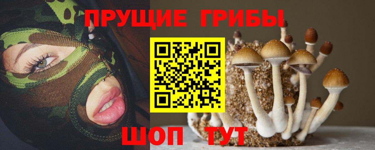 Псилоцибиновые грибы Magic Shrooms Жуковский